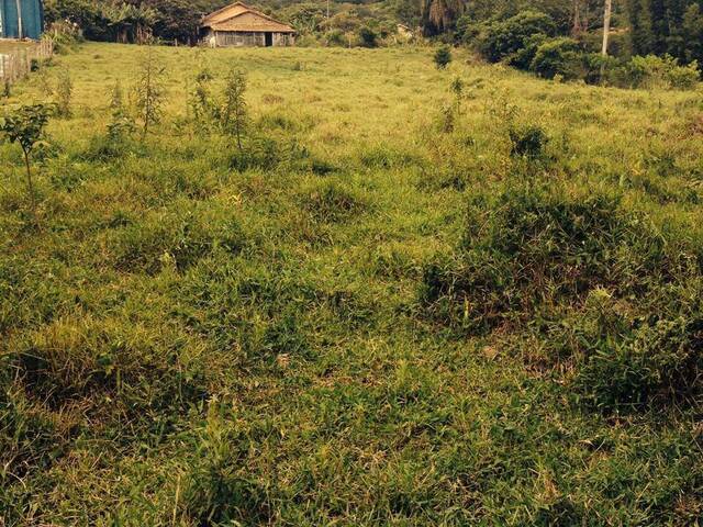 Chácara para Venda em Laguna - 4